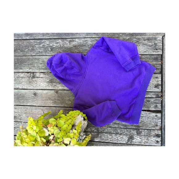 Vikings NFL Team Apparel Fleece Hoodie Purple Sz 3T - Picture 2 of 4